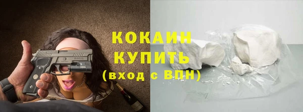 не бодяженный Ладушкин