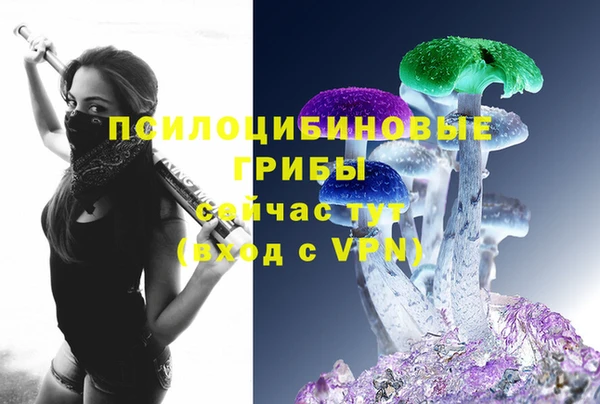 ГАЛЛЮЦИНОГЕННЫЕ ГРИБЫ Бронницы