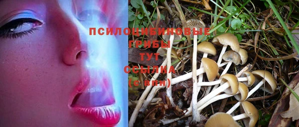 спиды Нижневартовск