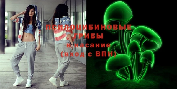 гидропоника Кукмор