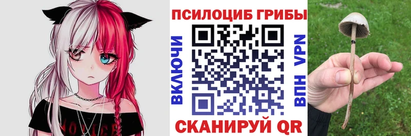 Псилоцибиновые грибы ЛСД  Гусь-Хрустальный 