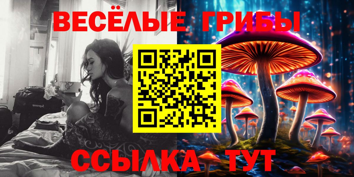 Псилоцибиновые грибы мицелий  Гусь-Хрустальный 